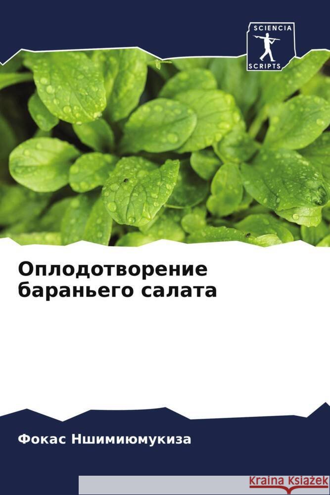 Oplodotworenie baran'ego salata Nshimiümukiza, Fokas 9786204441047 Sciencia Scripts - książka