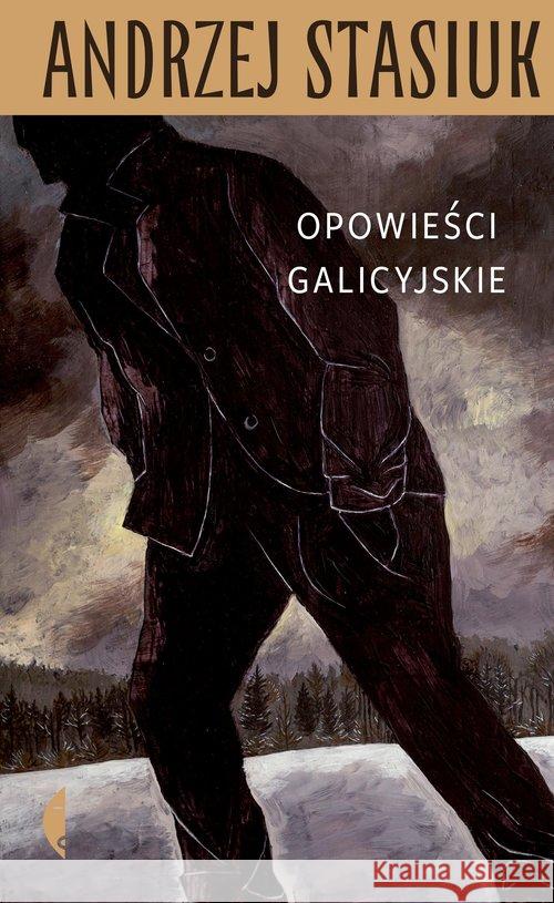 Opowieści galicyjskie Stasiuk Andrzej 9788381911689 Czarne - książka