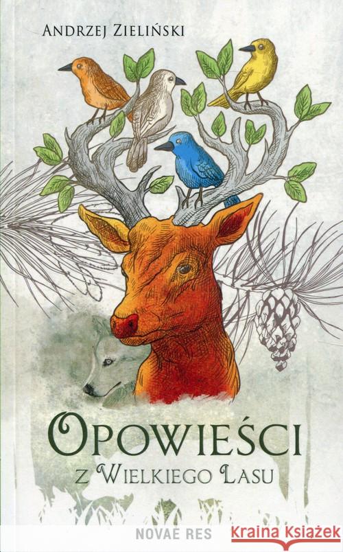 Opowieści z wielkiego lasu Zieliński Andrzej 9788380838925 Novae Res - książka