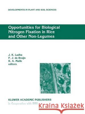 Opportunities for Biological Nitrogen Fixation in Rice and Other Non-Legumes: Papers Presented at the Second Working Group Meeting of the Frontier Pro Ladha, J. K. 9789401064231 Springer - książka