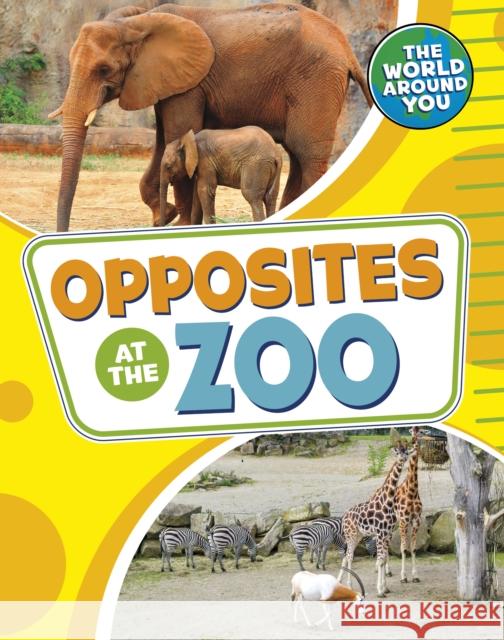 Opposites at the Zoo Christianne (Acquisitions Editor) Jones 9781398241121 Capstone Global Library Ltd - książka