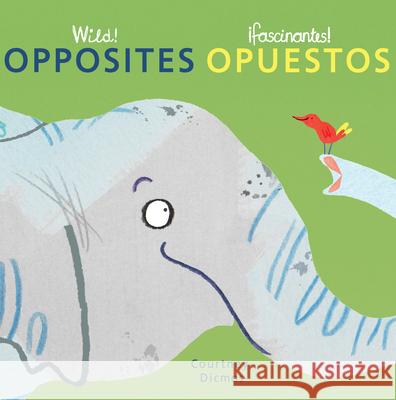 Opposites/Opuestos Courtney Dicmas, Courtney Dicmas, Teresa Mlawer 9781786283948 Child's Play International Ltd - książka