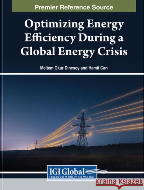 Optimizing Energy Efficiency During a Global Energy Crisis  9798369304006 IGI Global - książka