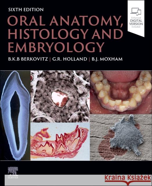 Oral Anatomy, Histology and Embryology Barry K. B. Berkovitz Bernard J. Moxham 9780323935210 Elsevier - książka