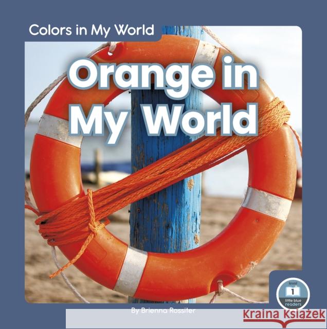 Orange in My World Brienna Rossiter 9781646191598 North Star Editions - książka