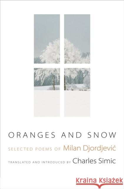 Oranges and Snow: Selected Poems of Milan Djordjevic Milan Djordjevic Charles Simic 9780691205960 Princeton University Press - książka