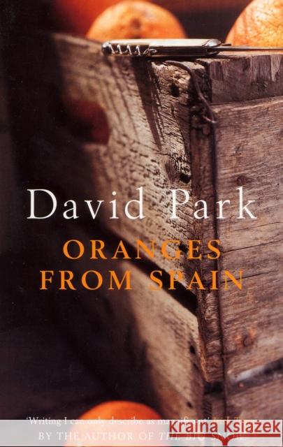 Oranges from Spain David Park 9780747571629 Bloomsbury Publishing PLC - książka