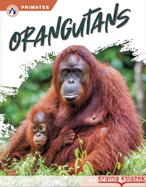 Orangutans Trudy Becker 9798892508278 Apex - książka