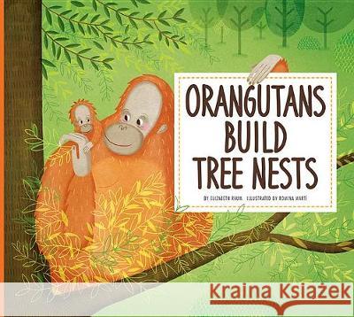 Orangutans Build Tree Nests: Animal Builders Elizabeth Raum 9781681521534 Amicus Ink - książka