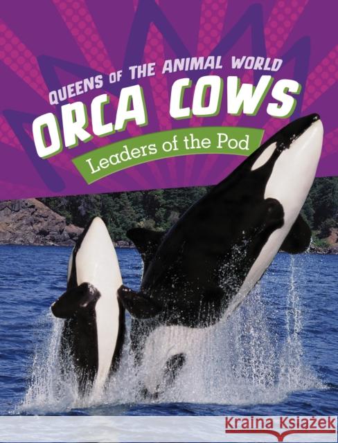 Orca Cows: Leaders of the Pod Jaclyn Jaycox 9781398245969 Capstone Global Library Ltd - książka