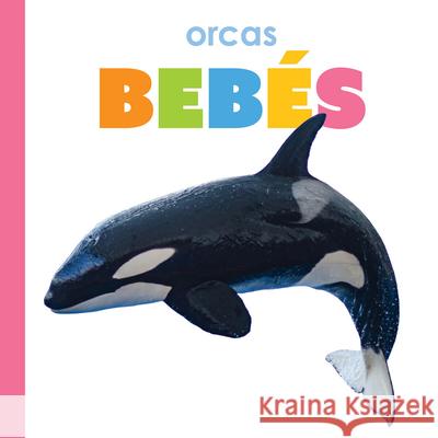 Orcas Beb?s Kim Thompson 9781682778975 Creative Paperbacks - książka