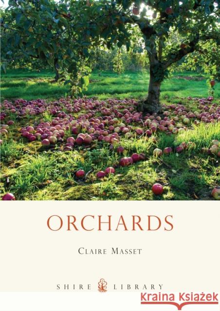 Orchards Claire Masset 9780747808381  - książka
