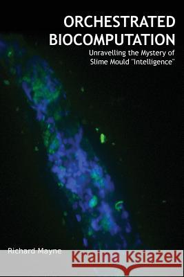 Orchestrated Biocomputation: Unravelling the Mystery of Slime Mould 