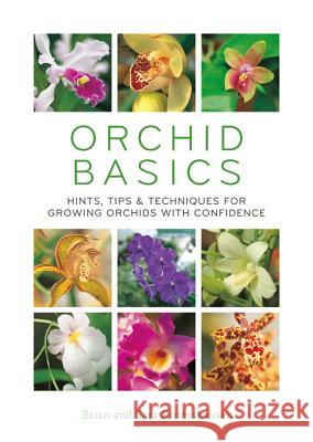 Orchid Basics: Hints, Tips & Techniques to Growing Orchids with Confidence Brian Rittershausen Sara Rittershausen 9780600635321 Hamlyn (UK) - książka
