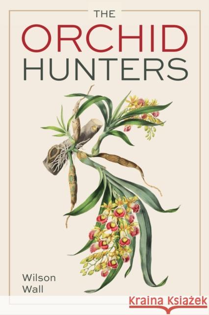 Orchid Hunters Wilson Wall 9780719845635 The Crowood Press Ltd - książka