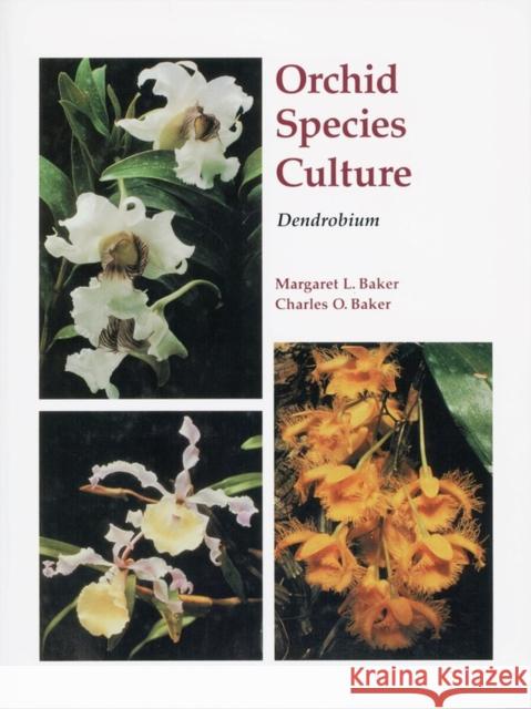 Orchid Species Culture: Dendrobium Baker, Margaret 9780881923667 Timber Press (OR) - książka