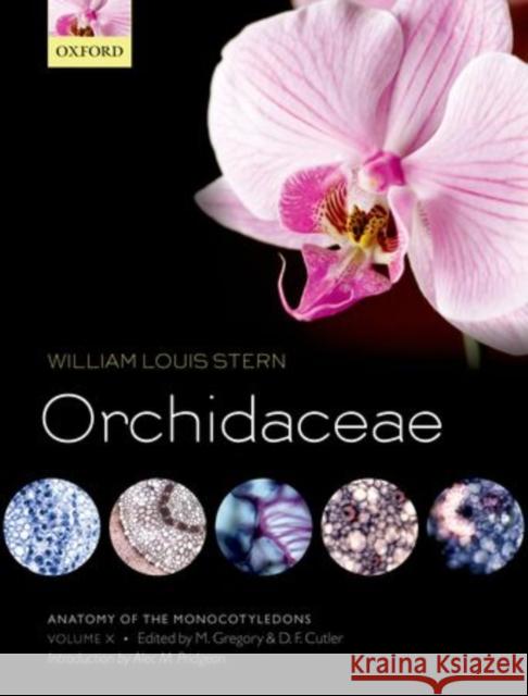 Orchidaceae Stern, William Louis 9780199689071 Oxford University Press, USA - książka