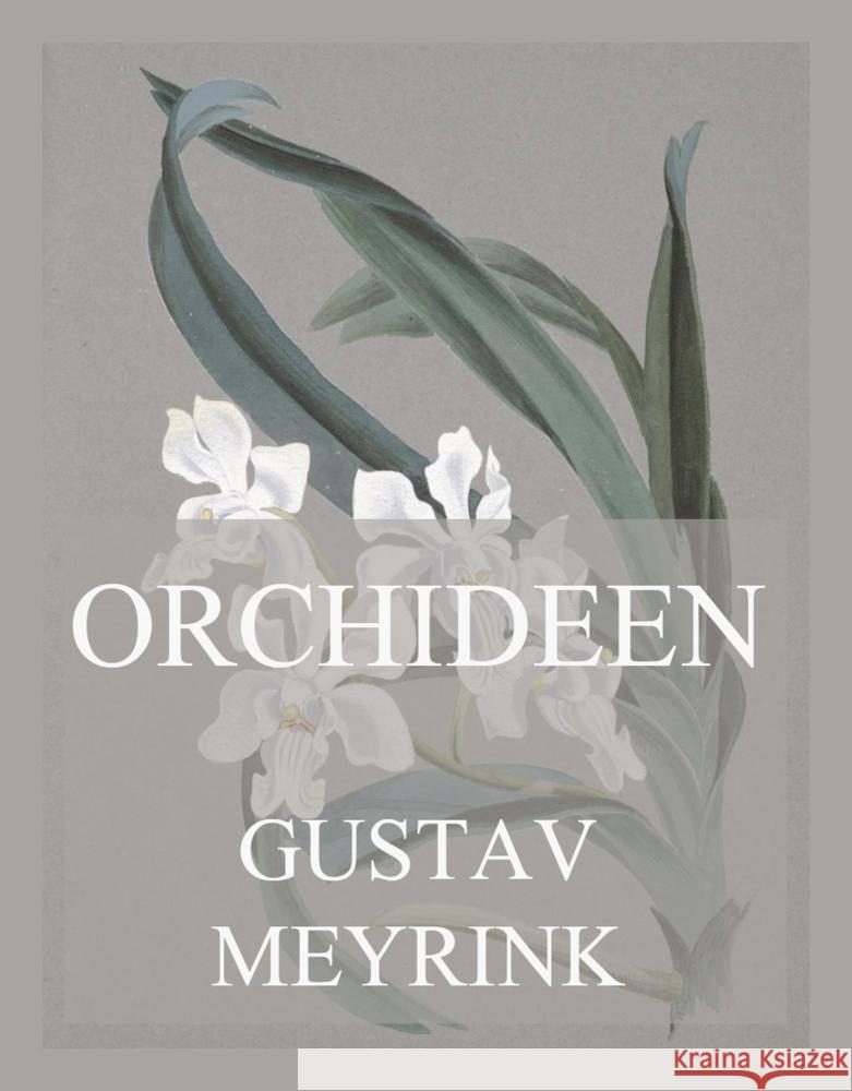 Orchideen Meyrink, Gustav 9783849664510 Jazzybee Verlag - książka