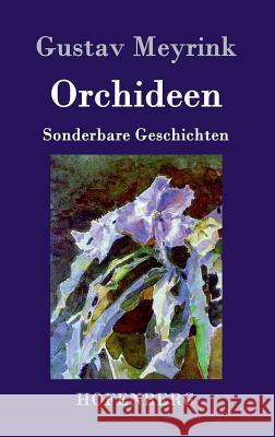 Orchideen: Sonderbare Geschichten Meyrink, Gustav 9783843073578 Hofenberg - książka