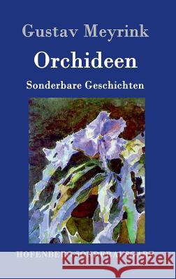 Orchideen: Sonderbare Geschichten Meyrink, Gustav 9783861997078 Hofenberg - książka