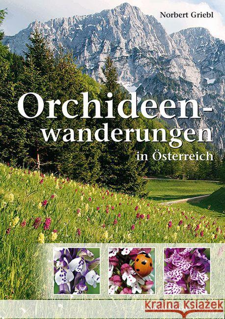 Orchideenwanderungen in Österreich Griebl, Norbert 9783702015336 Stocker - książka