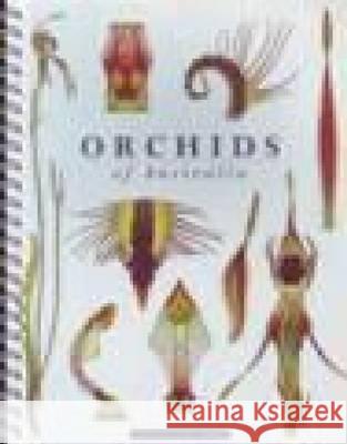 Orchids of Australia : Desk Diary University of New South Wales 9780868409528 University of New South Wales Press - książka