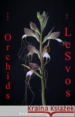 Orchids of Lesvos Eileen Anderson Brian Anderson 9781731055064 Independently Published - książka