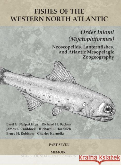 Order Iniomi (Myctophiformes): Part 7 Robert H. Gibbs 9781933789170 Yale Peabody Museum - książka