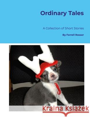 Ordinary Tales Ferrell Rosser 9781257901678 Lulu.com - książka