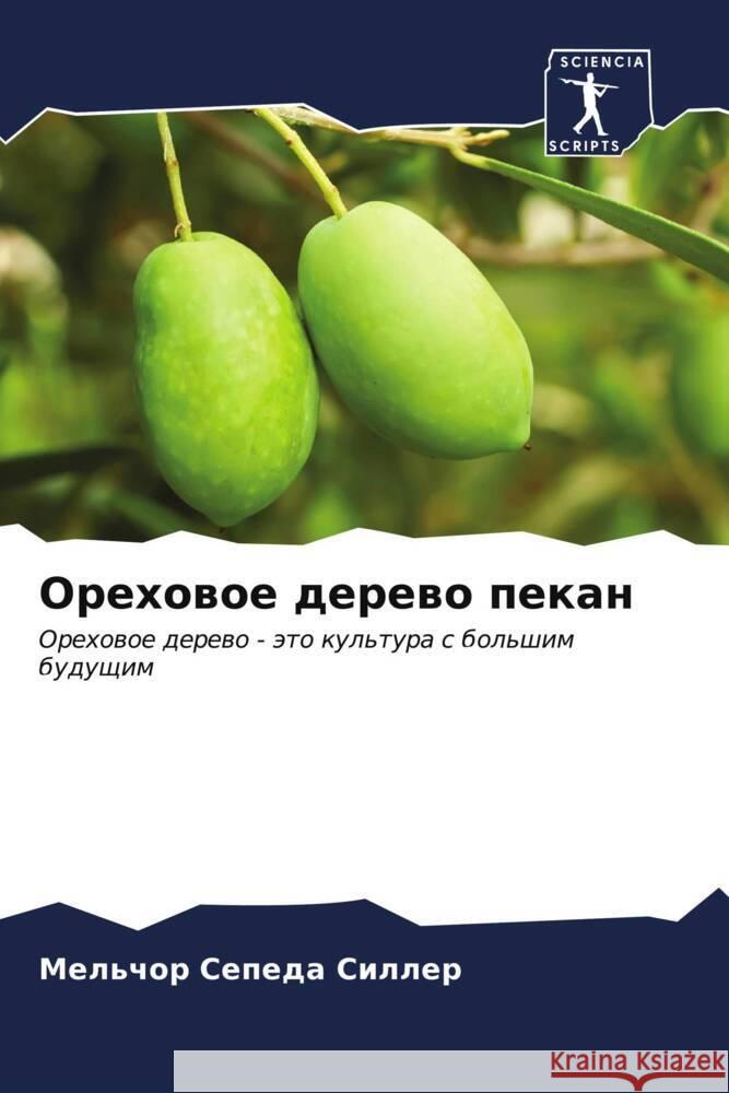 Orehowoe derewo pekan Sepeda Siller, Mel'chor 9786206629054 Sciencia Scripts - książka