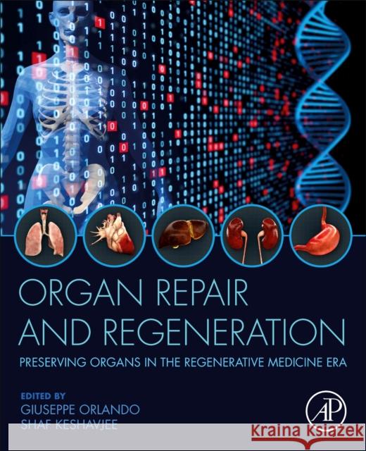 Organ Repair and Regeneration: Preserving Organs in the Regenerative Medicine Era Giuseppe Orlando Shaf Keshavjee 9780128194515 Academic Press - książka