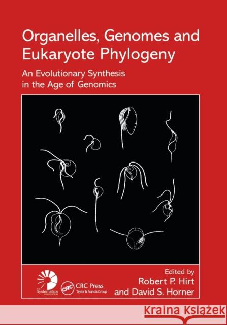 Organelles, Genomes and Eukaryote Phylogeny: An Evolutionary Synthesis in the Age of Genomics Robert P. Hirt David S. Horner 9780367394127 CRC Press - książka