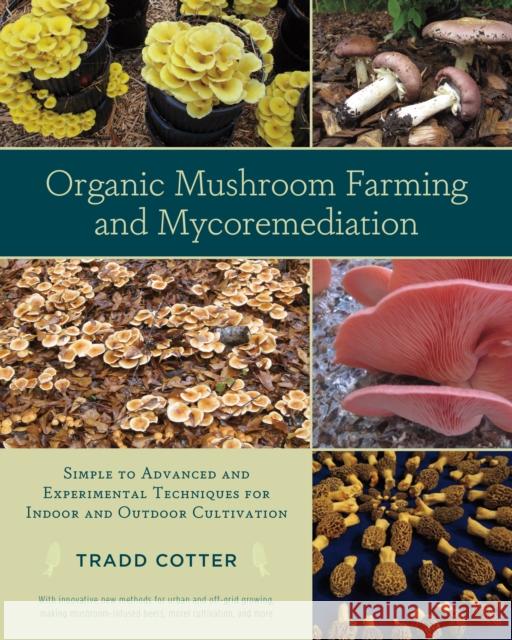 Organic Mushroom Farming and Mycoremediation: Simple to Advanced and Experimental Techniques for Indoor and Outdoor Cultivation Tradd Cotter 9781603584555 Chelsea Green Publishing Company - książka