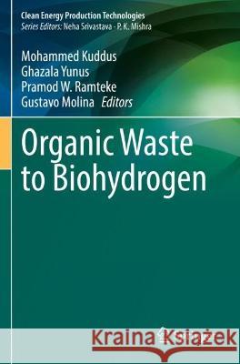 Organic Waste to Biohydrogen  9789811919978 Springer Nature Singapore - książka