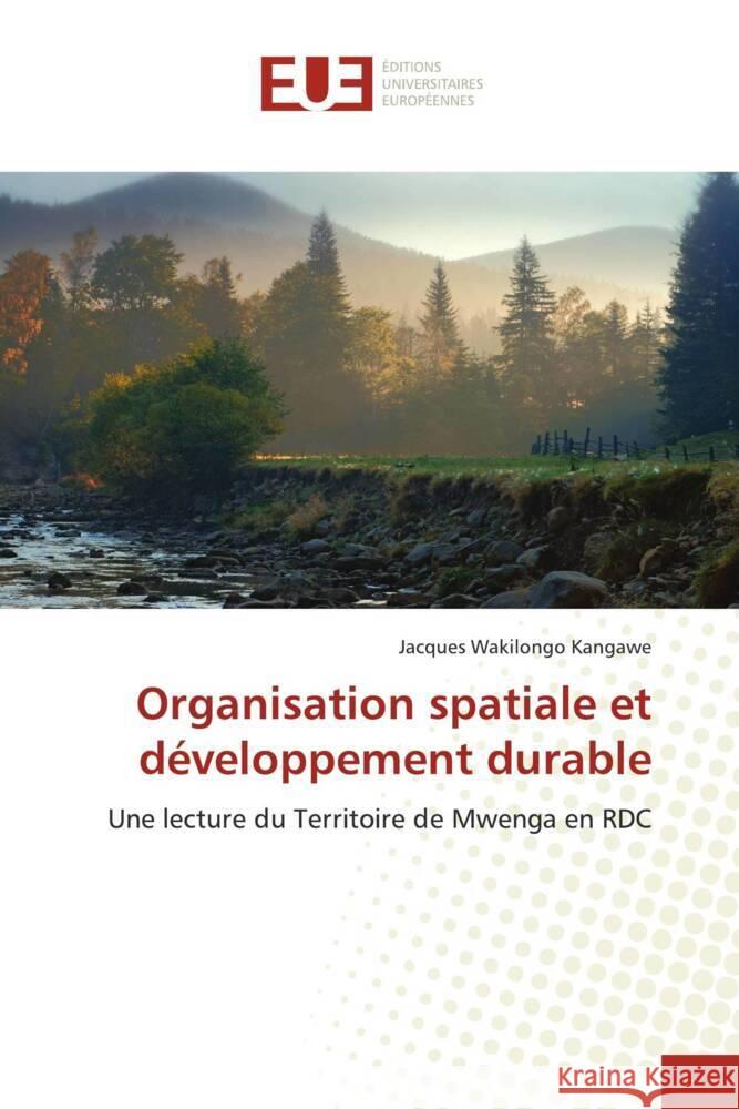Organisation spatiale et développement durable Kangawe, Jacques Wakilongo 9786139527625 Éditions universitaires européennes - książka