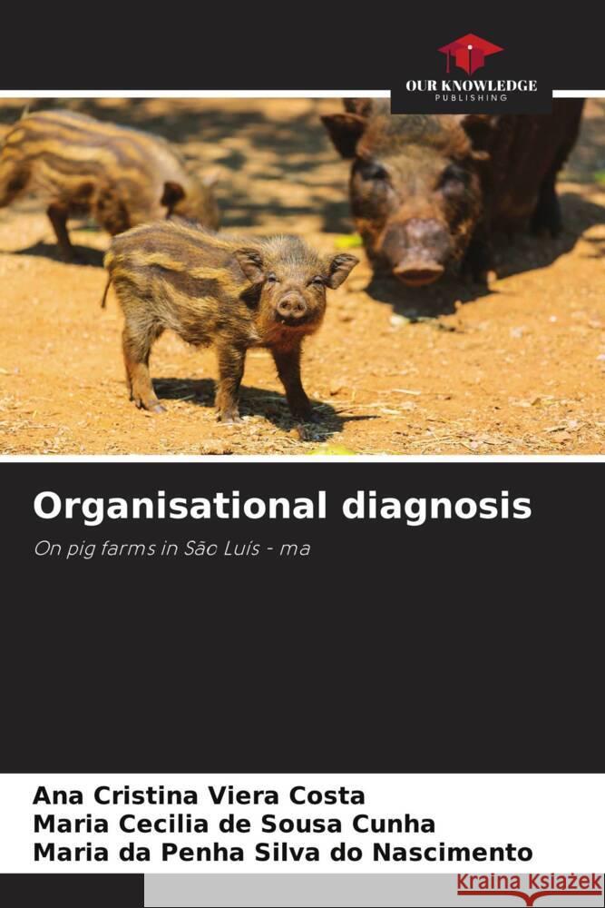 Organisational diagnosis Ana Cristina Viera Costa Maria Cecilia de Sousa Cunha Maria Da Penha Silva Do Nascimento 9786208577919 Our Knowledge Publishing - książka