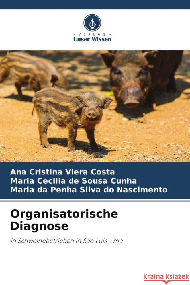 Organisatorische Diagnose Ana Cristina Viera Costa Maria Cecilia de Sousa Cunha Maria Da Penha Silva Do Nascimento 9786208577902 Verlag Unser Wissen - książka