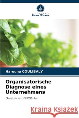 Organisatorische Diagnose eines Unternehmens Harouna Coulibaly 9786204046112 Verlag Unser Wissen - książka