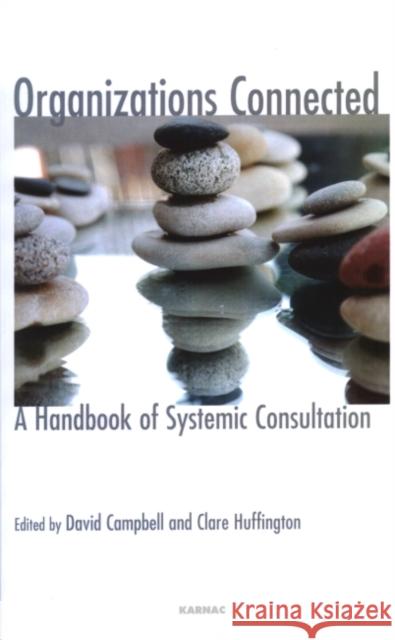 Organizations Connected: A Handbook of Systemic Consultation David Campbell Clare Huffington 9781855756694 Karnac Books - książka