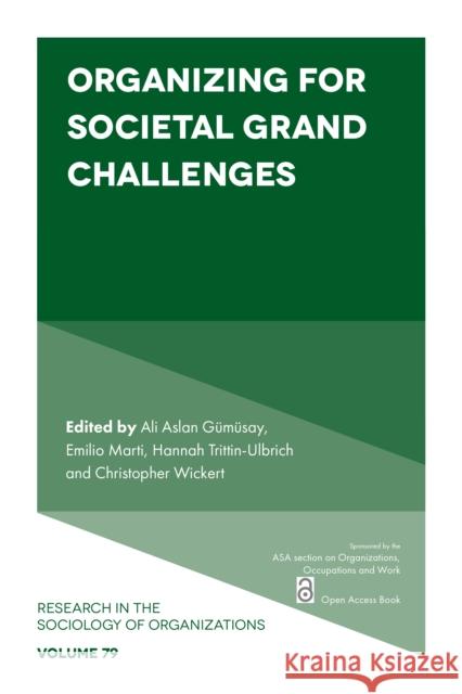 Organizing for Societal Grand Challenges G Emilio Marti Hannah Trittin-Ulbrich 9781839098291 Emerald Publishing Limited - książka