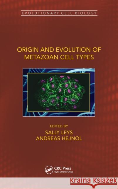 Origin and Evolution of Metazoan Cell Types Sally Leys Andreas Hejnol 9781138032699 CRC Press - książka