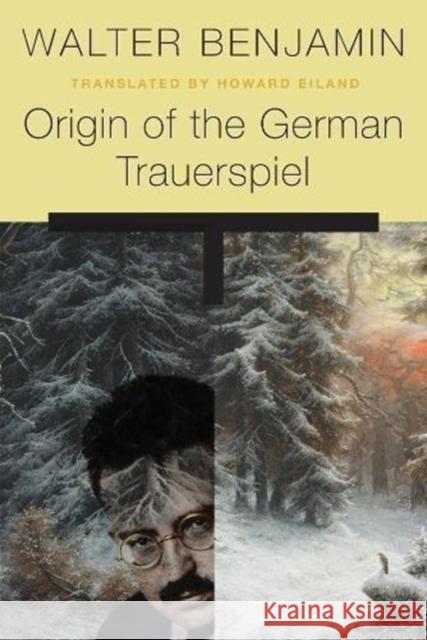 Origin of the German Trauerspiel Walter Benjamin Howard Eiland 9780674744240 Harvard University Press - książka