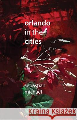 Orlando in the Cities Sebastian Michael 9781638219996 Optimist Books by Optimist Creations - książka