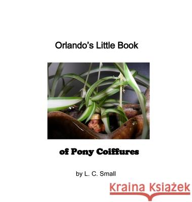 Orlando's Little Book of Pony Coiffures L. C. Small 9781838000288 abponybooks - książka