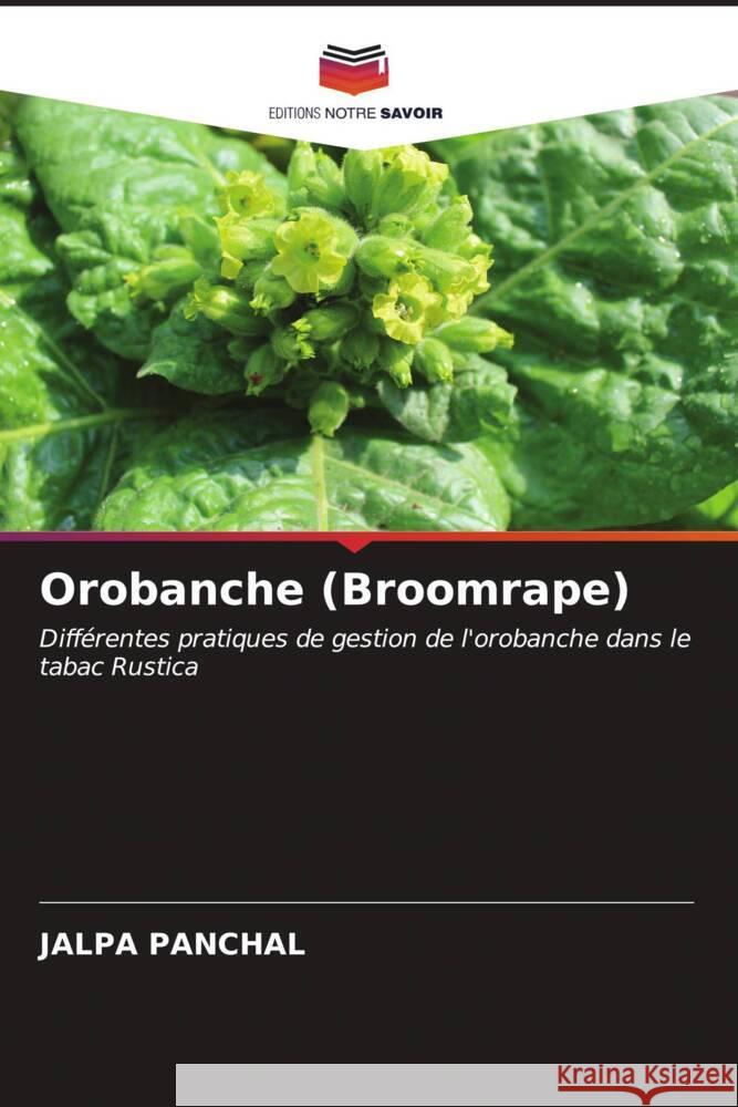 Orobanche (Broomrape) PANCHAL, JALPA 9786206611790 Editions Notre Savoir - książka