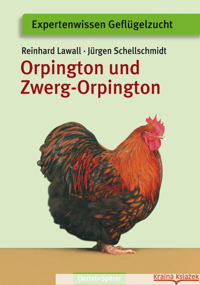 Orpington und Zwerg-Orpington Lawall, Reinhard Schellschmidt, Jürgen  9783886275489 Oertel & Spörer - książka