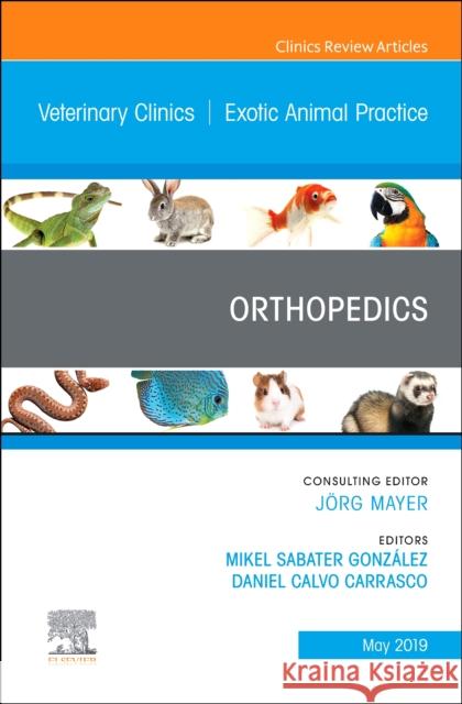 Orthopedics, An Issue of Veterinary Clinics of North America: Exotic Animal Practice Mikel Sabater Gonzalez, LV CertZooMed Di Daniel Calvo Carrasco, LV CertAVP ZooMed  9780323678018 Elsevier - Health Sciences Division - książka