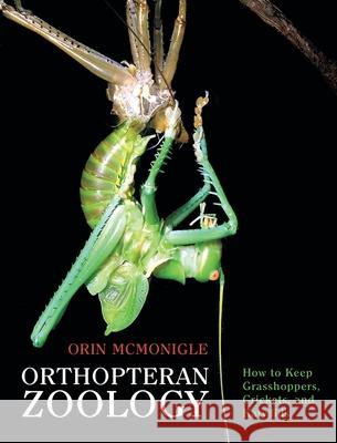 Orthopteran Zoology: How to Keep Grasshoppers, Crickets, and Katydids Orin McMonigle 9781616465162 Coachwhip Publications - książka