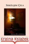 Orvatje Per Biseda (Esse Dhe Perkthime) Shkelqim Cela 9781503072442 Createspace