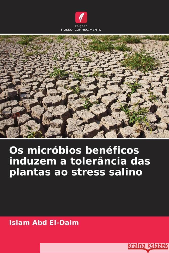Os micróbios benéficos induzem a tolerância das plantas ao stress salino Abd El-Daim, Islam 9786206433408 Edições Nosso Conhecimento - książka